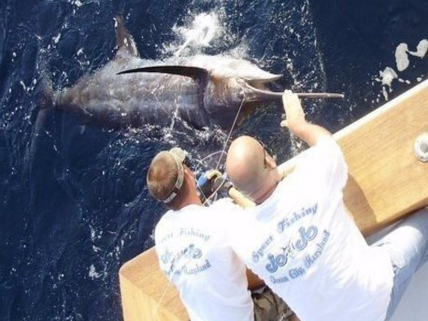 JoJo Sport Fishing