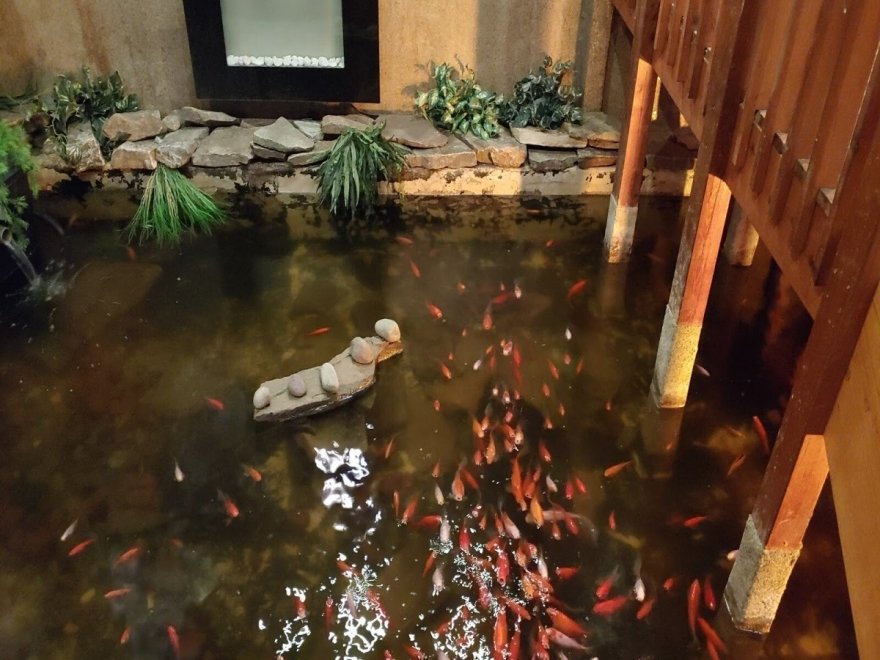 The Cultured Pearl Restaurant & Sushi Bar