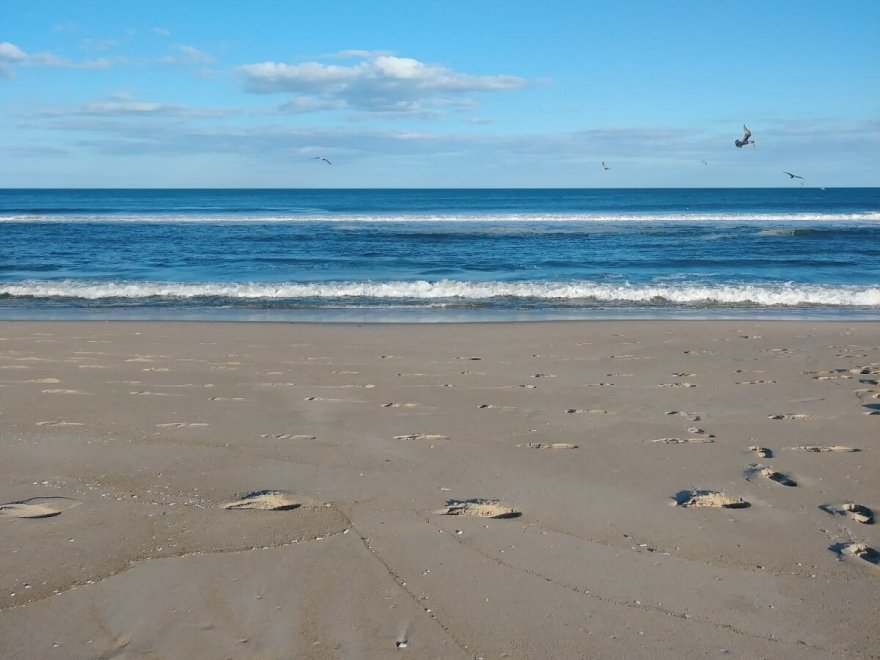 Monte Carlo Condos Ocean City