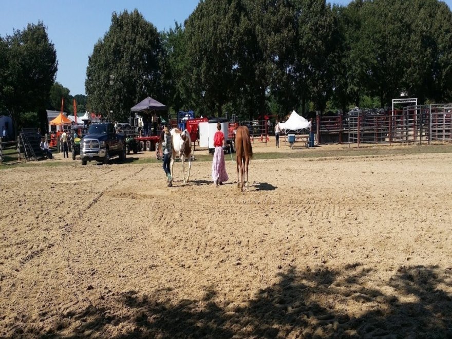 WinterPlace Park & Equestrian Center