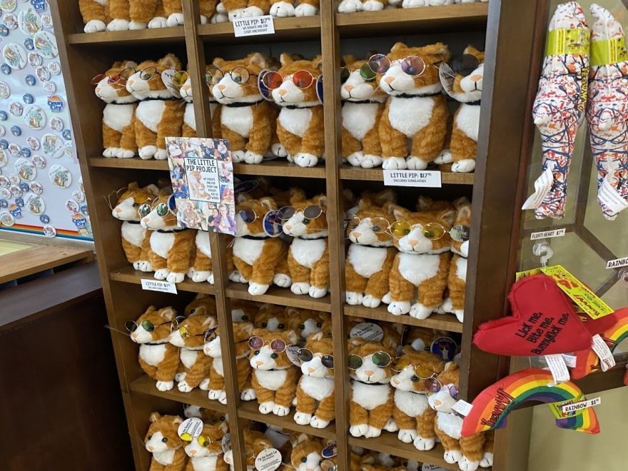 Pip the Beach Cat’s Kitten Emporium