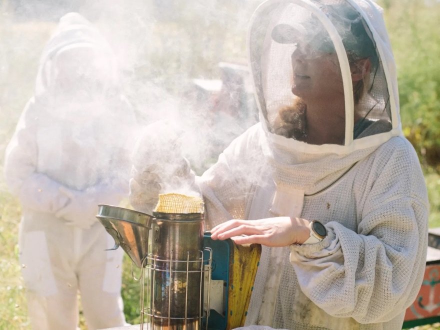 BayBees Honey