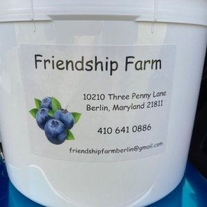 Friendship Farm