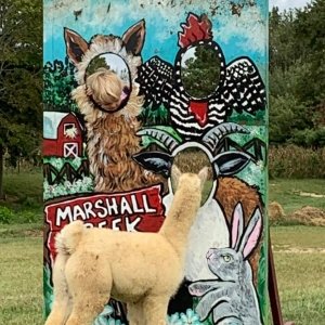 Marshall Creek Farms, LLC