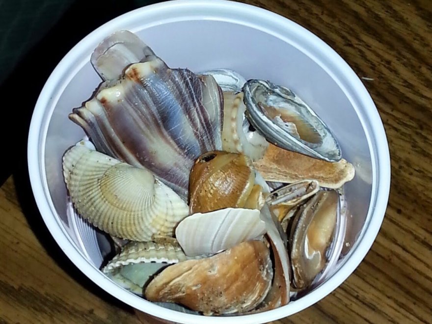 Don's Seafood & Chicken House