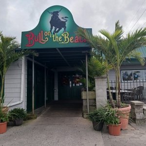 Bull on the Beach