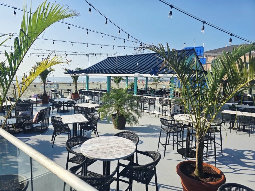 Flamingo Coast Flamingo Coast