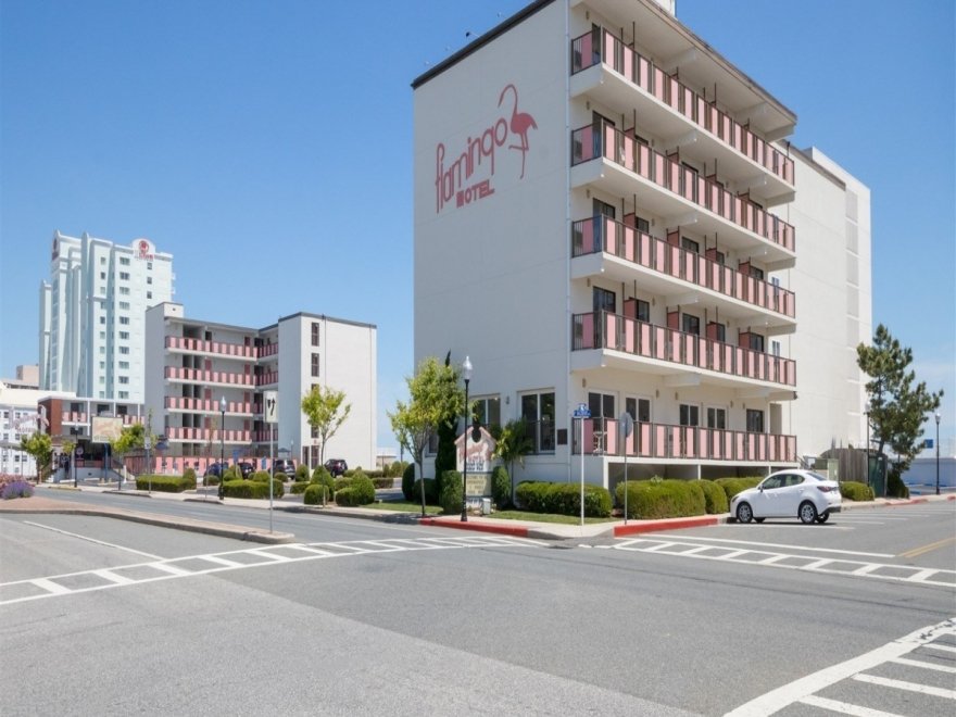 Flamingo Motel